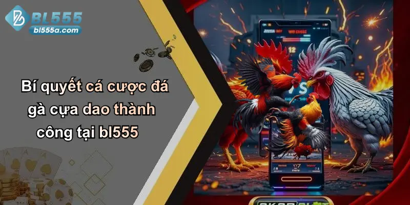 Bí quyết cá cược đá gà cựa dao thành công tại bl555