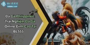 Đá Gà Philippines