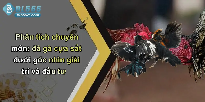 Phân tích chuyên môn: đá gà cựa sắt dưới góc nhìn giải trí và đầu tư