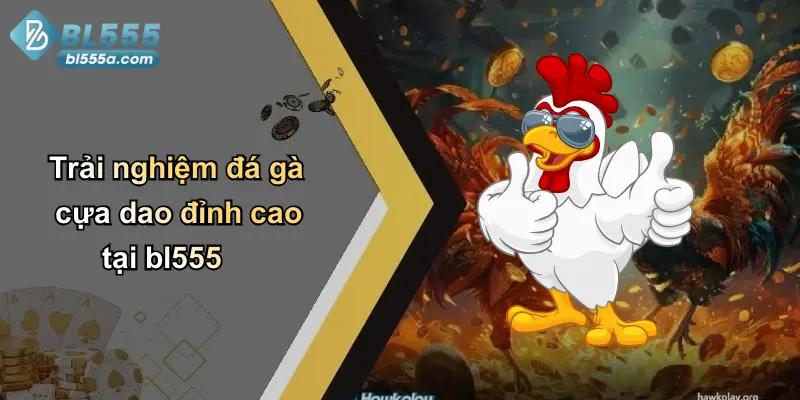 Trải nghiệm đá gà cựa dao đỉnh cao tại bl555