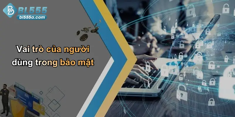 Vai trò của người dùng trong bảo mật